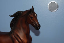 Load image into Gallery viewer, All Glory-Breyerfest Exclusive-National Show Horse Mold-Breyer Traditional