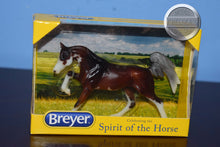 Load image into Gallery viewer, Darley-Stablemate Club Exclusive-Original on the Mold-Breyer Stablemate