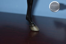 Load image into Gallery viewer, All Glory-Breyerfest Exclusive-National Show Horse Mold-Breyer Traditional