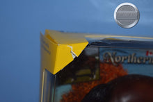 Load image into Gallery viewer, Northern Dancer-New in Box-John Henry Mold-Breyer Traditional