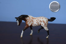Load image into Gallery viewer, Tobias-Stablemate Club Exclusive-Appaloosa Mold-Breyer Stablemate