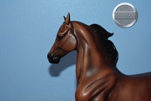 Load image into Gallery viewer, All Glory-Breyerfest Exclusive-National Show Horse Mold-Breyer Traditional