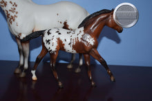 Load image into Gallery viewer, Surrey and Axle-Breyerfest Exclusive-Lady Phase and Action Stock Horse Foal Mold-Breyer Traditional