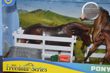 Load image into Gallery viewer, Pony Power-Damaged Box-Breyer Classic