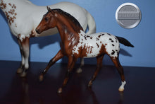 Load image into Gallery viewer, Surrey and Axle-Breyerfest Exclusive-Lady Phase and Action Stock Horse Foal Mold-Breyer Traditional