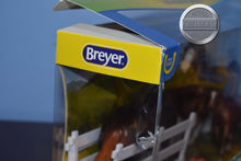Load image into Gallery viewer, Pony Power-Damaged Box-Breyer Classic