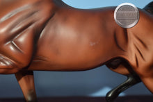 Load image into Gallery viewer, All Glory-Breyerfest Exclusive-National Show Horse Mold-Breyer Traditional