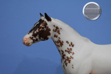 Load image into Gallery viewer, Surrey and Axle-Breyerfest Exclusive-Lady Phase and Action Stock Horse Foal Mold-Breyer Traditional