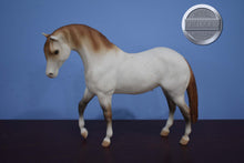 Load image into Gallery viewer, American Indian Pony-Red Roan-Foundation Stallion Mold-Breyer Traditional