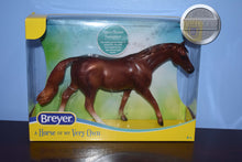 Load image into Gallery viewer, Copper Chestnut Thoroughbred-Walking Thoroughbred Mold-Breyer Classic