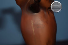 Load image into Gallery viewer, All Glory-Breyerfest Exclusive-National Show Horse Mold-Breyer Traditional