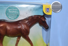 Load image into Gallery viewer, Copper Chestnut Thoroughbred-Walking Thoroughbred Mold-Breyer Classic