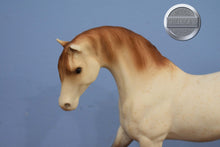 Load image into Gallery viewer, American Indian Pony-Red Roan-Foundation Stallion Mold-Breyer Traditional