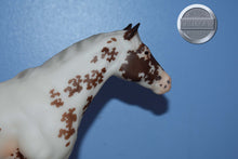 Load image into Gallery viewer, Surrey and Axle-Breyerfest Exclusive-Lady Phase and Action Stock Horse Foal Mold-Breyer Traditional