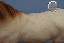 Load image into Gallery viewer, American Indian Pony-Red Roan-Foundation Stallion Mold-Breyer Traditional
