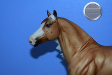 Load image into Gallery viewer, Smart n Shiney-Breyerfest Exclusive-Smart Chic Olena Mold-Breyer Traditional