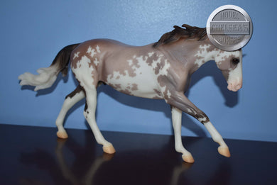 Seven Arts Surprise-Matte Sabino-Breyerfest Exclusive-Australian Stock Horse Mold-Breyer Traditional
