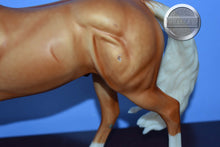 Load image into Gallery viewer, Smart n Shiney-Breyerfest Exclusive-Smart Chic Olena Mold-Breyer Traditional