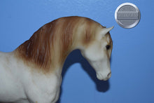 Load image into Gallery viewer, American Indian Pony-Red Roan-Foundation Stallion Mold-Breyer Traditional