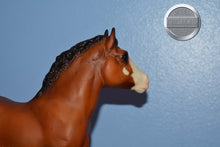 Load image into Gallery viewer, Bluebell-Clydesdale Foal Mold-Breyer Traditional