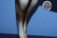 Load image into Gallery viewer, American Indian Pony-Red Roan-Foundation Stallion Mold-Breyer Traditional
