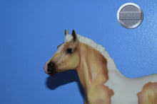 Load image into Gallery viewer, Creamsicle-Clydesdale Foal Mold-Breyer Traditional