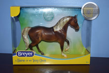 Load image into Gallery viewer, Silver Bay Morab-Morgan Stallion Mold-Breyer Classic
