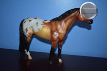 Load image into Gallery viewer, Thorn-Matte Version-Breyerfest Exclusive-Trakenher Mold-Breyer Traditional