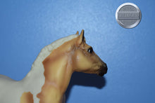 Load image into Gallery viewer, Creamsicle-Clydesdale Foal Mold-Breyer Traditional