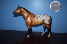 Load image into Gallery viewer, Thorn-Matte Version-Breyerfest Exclusive-Trakenher Mold-Breyer Traditional
