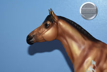 Load image into Gallery viewer, Thorn-Matte Version-Breyerfest Exclusive-Trakenher Mold-Breyer Traditional