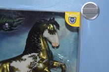 Load image into Gallery viewer, Maelstrom-Halloween Exclusive-Desatado Mold-Breyer Traditional