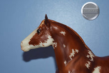 Load image into Gallery viewer, Pepper-Breyerfest Exclusive-Clydesdale Mare Mold-Breyer Traditional