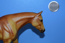 Load image into Gallery viewer, Artists Proof Appaloosa Western Horse-Zippo Pine Bar Mold-Breyer Traditional