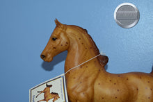 Load image into Gallery viewer, Firefly-Five Gaiter Mold-Breyer Traditional