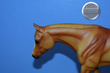 Load image into Gallery viewer, Artists Proof Appaloosa Western Horse-Zippo Pine Bar Mold-Breyer Traditional