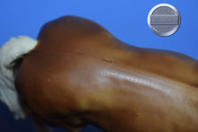 Load image into Gallery viewer, Palomino Grazing Mare-Grazing Mare Mold-Breyer Traditional