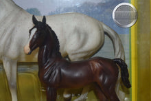 Load image into Gallery viewer, Favory and Airiella-Andalusian Mare and Foal Mold-Breyer Traditional