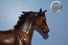 Load image into Gallery viewer, Stella-Bluegrass Bandit Mold-Breyer Traditional