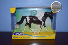 Load image into Gallery viewer, Pinto-Morgan Mare Mold-Breyer Classic