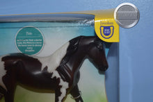 Load image into Gallery viewer, Pinto-Morgan Mare Mold-Breyer Classic