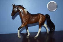 Load image into Gallery viewer, Stella-Bluegrass Bandit Mold-Breyer Traditional