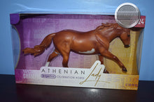 Load image into Gallery viewer, Athenian Lady-Breyerfest Exclusive-Australian Stock Horse Mold-New in Box-Breyer Traditional