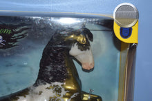 Load image into Gallery viewer, Maelstrom-Halloween Exclusive-Desatado Mold-Breyer Traditional
