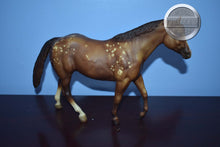 Load image into Gallery viewer, Goin' for Approval-BODY-Stock Horse Mare Mold-Breyer Traditional
