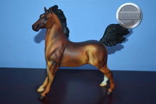 Load image into Gallery viewer, Custom Bay-Hackney Pony Mold-Breyer Traditional