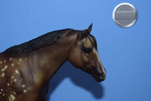 Load image into Gallery viewer, Goin' for Approval-BODY-Stock Horse Mare Mold-Breyer Traditional