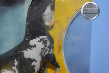 Load image into Gallery viewer, Maelstrom-Halloween Exclusive-Desatado Mold-Breyer Traditional