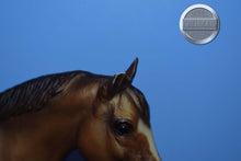 Load image into Gallery viewer, Goin' for Approval-BODY-Stock Horse Mare Mold-Breyer Traditional