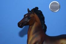 Load image into Gallery viewer, Custom Bay-Hackney Pony Mold-Breyer Traditional